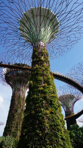 Сады Gardens by the Bay - Skyway