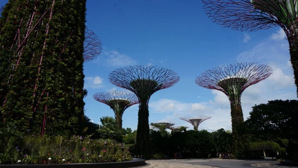 Сады Gardens by the Bay