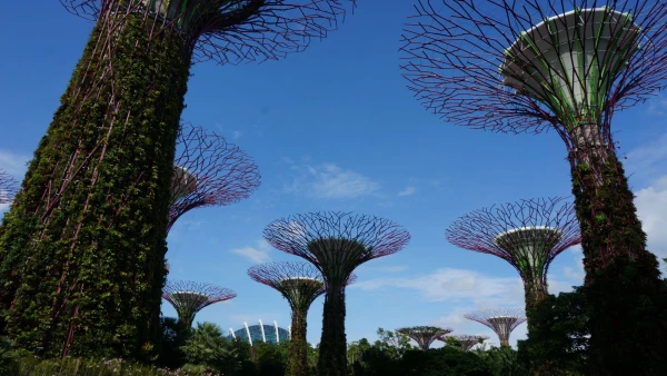 Сады Gardens by the Bay