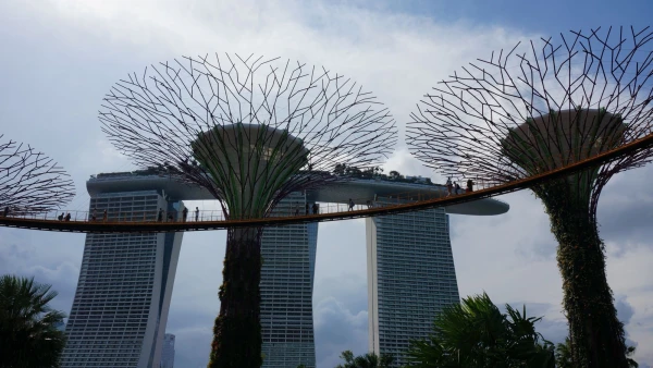 Сады Gardens by the Bay