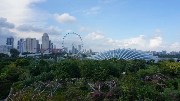 Сады Gardens by the Bay
