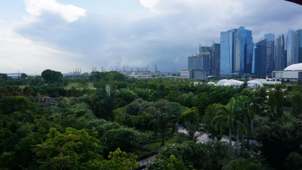 Сады Gardens by the Bay