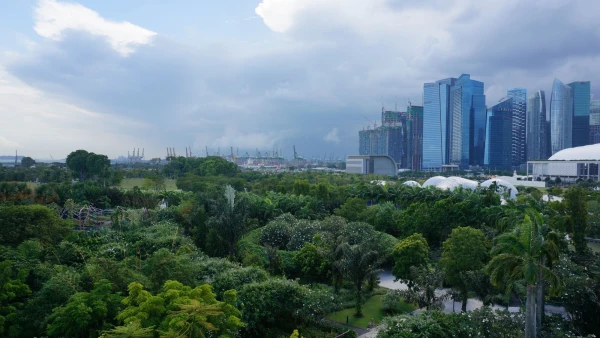 Сады Gardens by the Bay