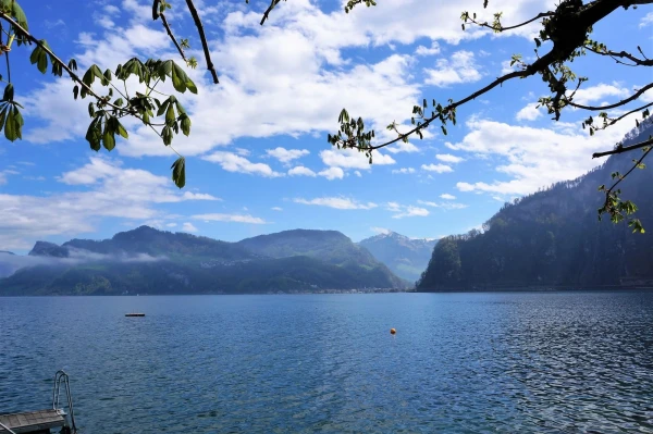 Vierwaldstättersee (Фирвальдштеттерзее - озеро Четырех кантонов)