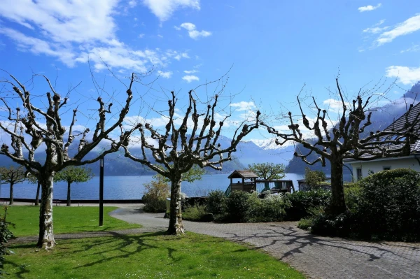 Vierwaldstättersee