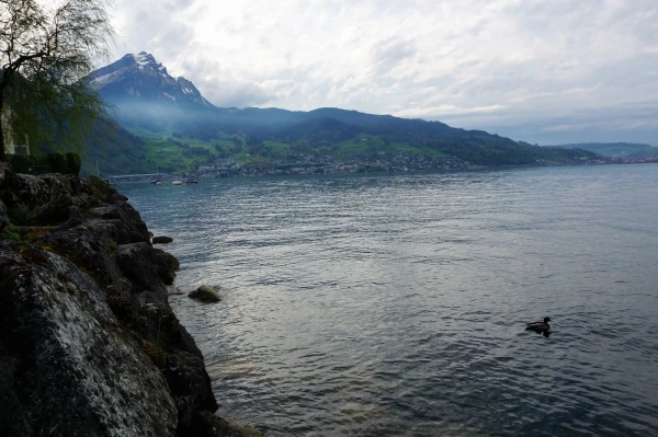 Vierwaldstättersee в городке Фюриген (Fürigen) 