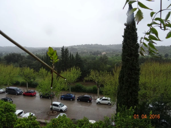 Las Coves de Campanet 