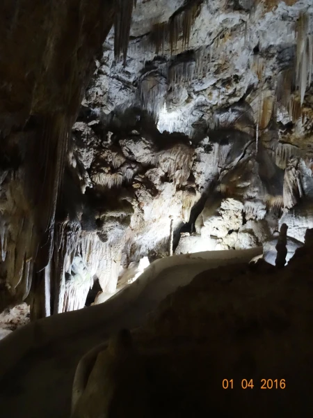 Las Coves de Campanet 