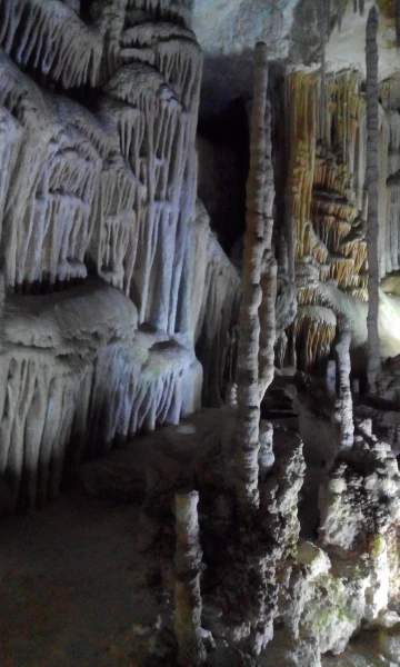 Las Coves de Campanet 