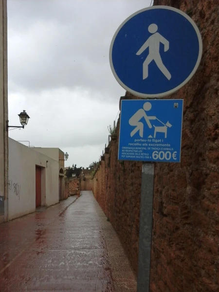 Alcudia, Старый город: хорошо, что были без собаки...