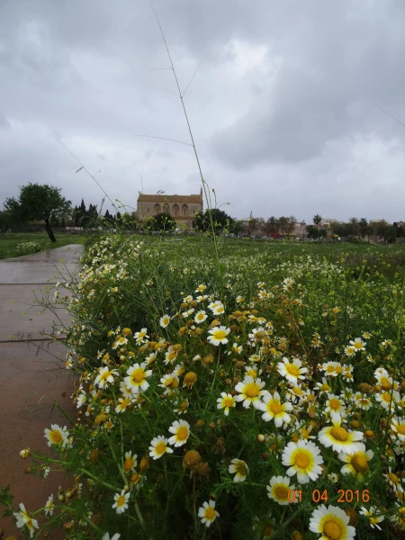 Ciutat Romana