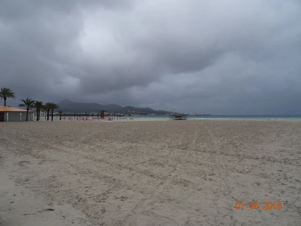 Platja d'Alcúdia