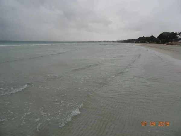 Platja d'Alcúdia