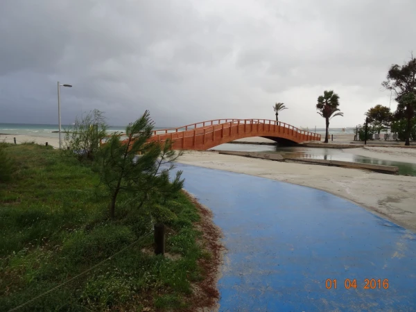 Platja d'Alcúdia