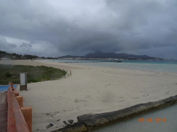 Platja d'Alcúdia