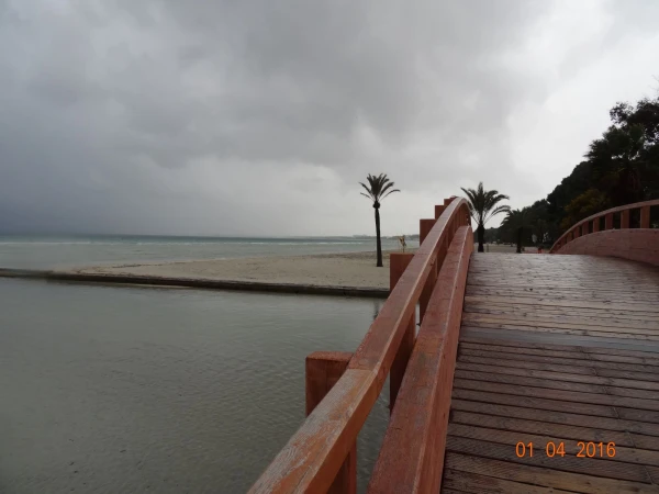 Platja d'Alcúdia