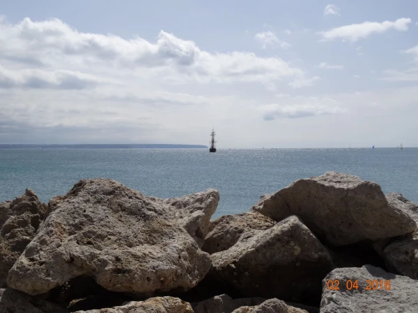 Port de Palma 