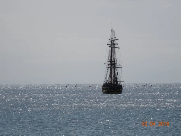Port de Palma 