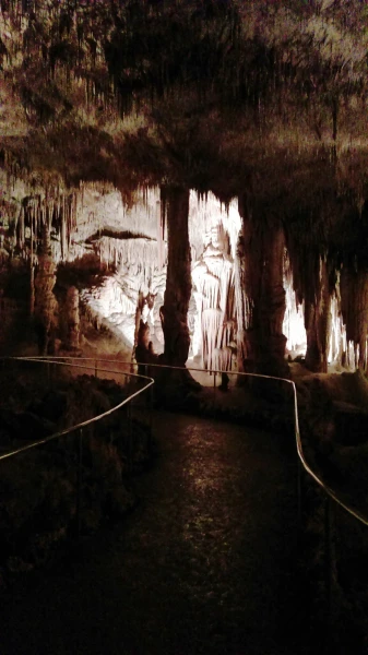 Cuevas del Drach