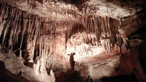 Cuevas del Drach