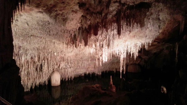 Cuevas del Drach