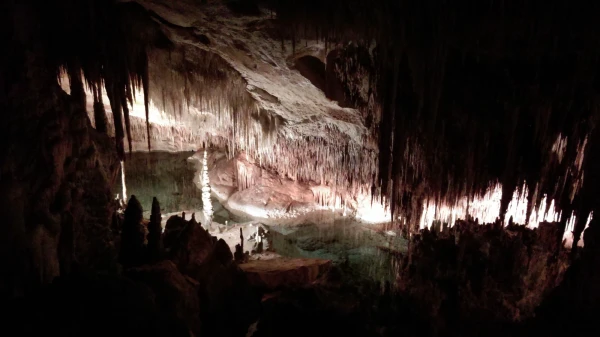 Cuevas del Drach