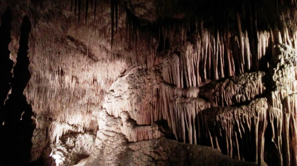 Cuevas del Drach