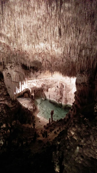 Cuevas del Drach