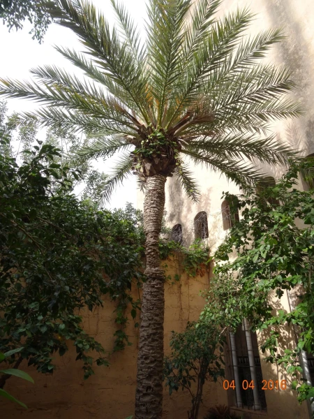 Nuevo Pueblo Español Mallorca