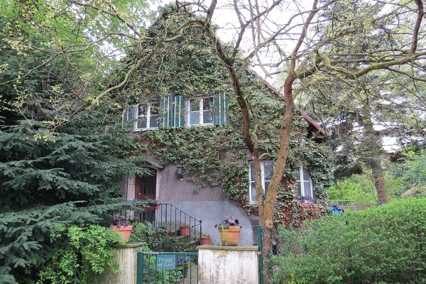 Кёльн, Ботанический сад Флора