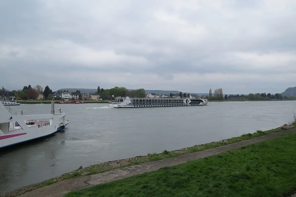 Рейн