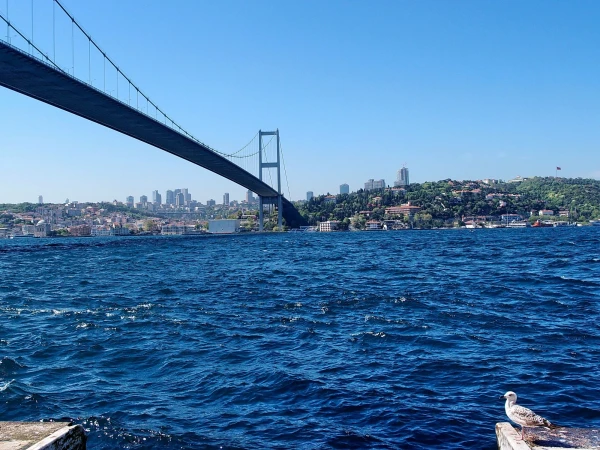 Фоткать пришлось через "дыру" в узоре ворот, погулять на набережной не пускают, а жаль!