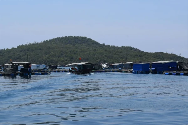 Разведение рыбы на воде