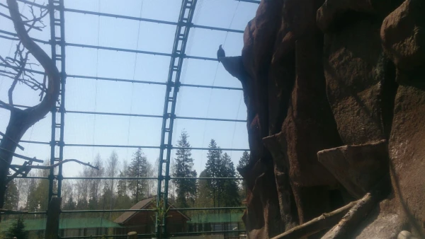 зоопарк