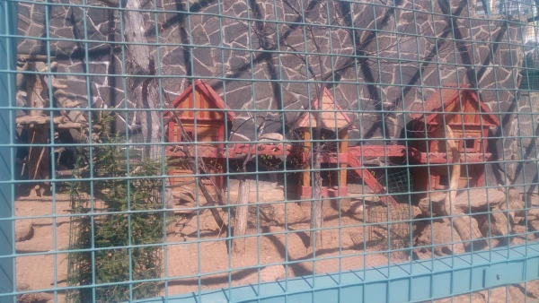 зоопарк