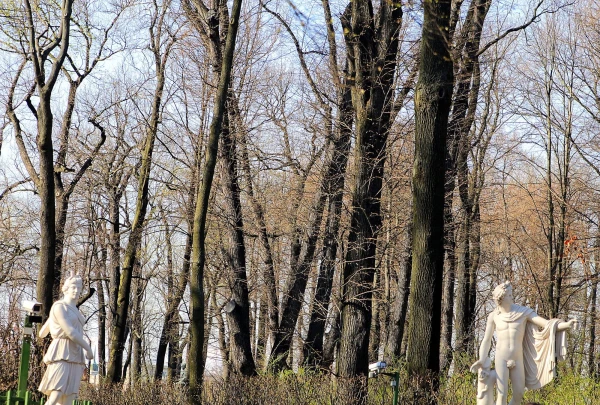 Летний сад