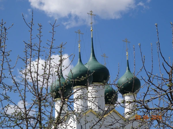 Митрополичий сад