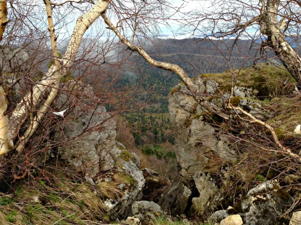 Каменное море