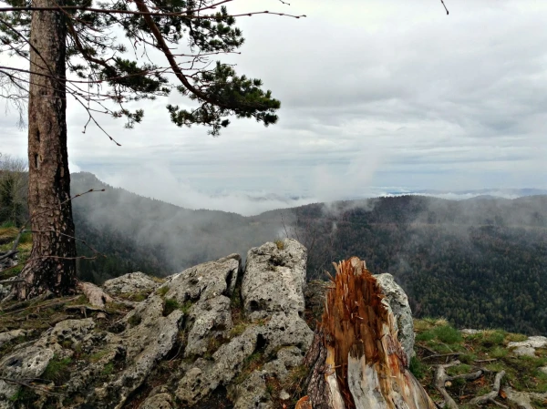 Каменное море