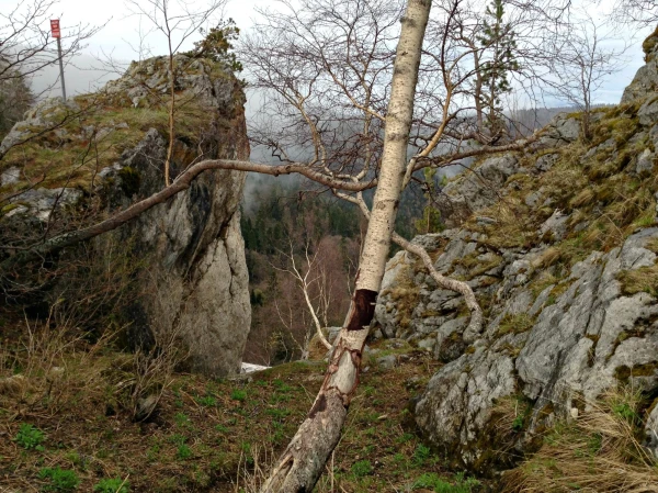 Каменное море