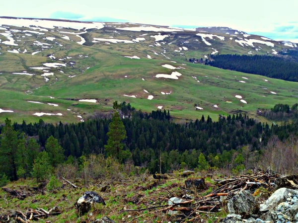 Лагонаки