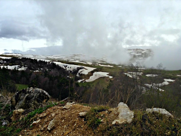 Лагонаки