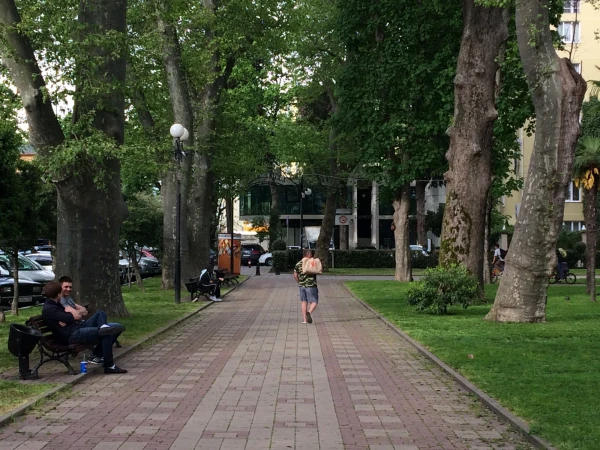 Платановая аллея в Адлере