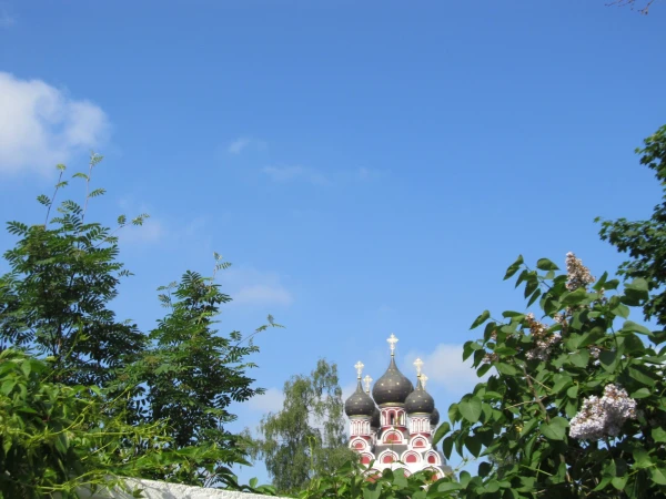 рядом с отелем