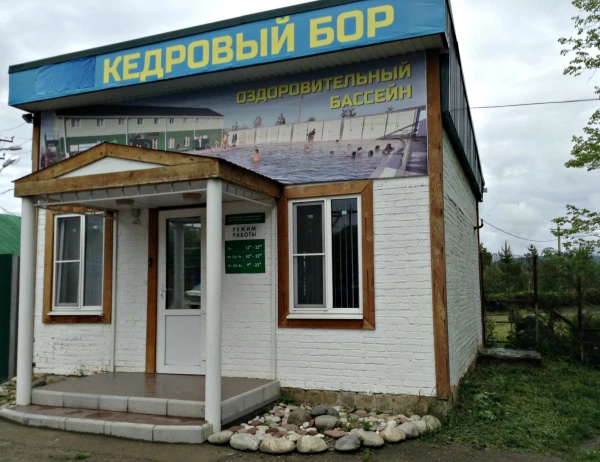 Термальный бассейн Кедровый бор