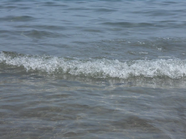 водичка