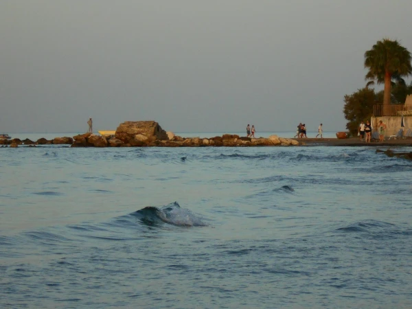 вечернее море