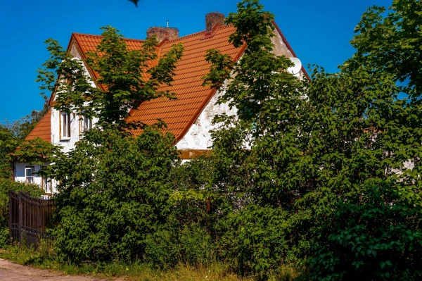 поселок Янтарный