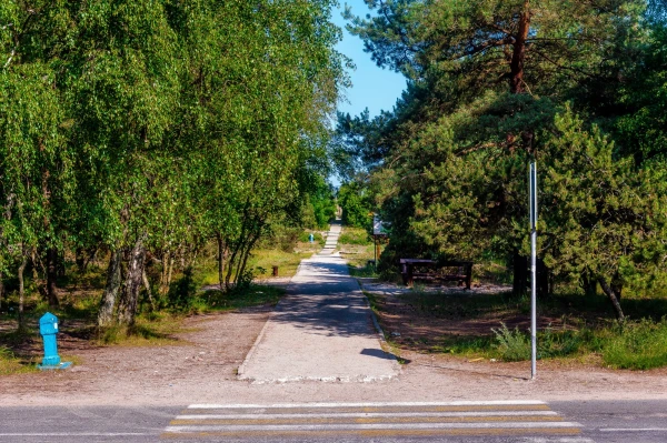 Куршская Коса. Высота Эфа