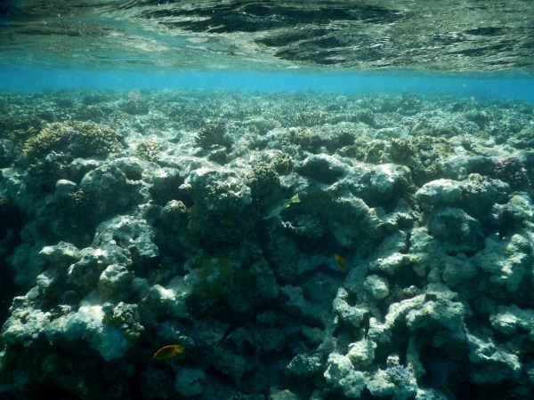 Красивое отражение поверхности воды